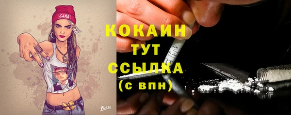 индика Богородск