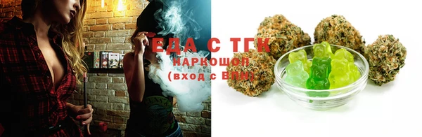 ECSTASY Богданович