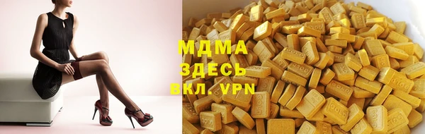 индика Богородск