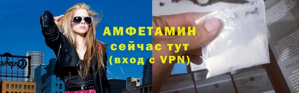 индика Богородск