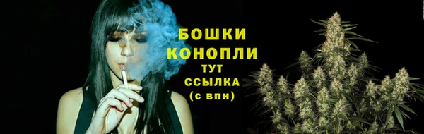 индика Богородск
