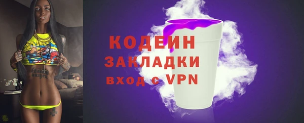 ECSTASY Богданович