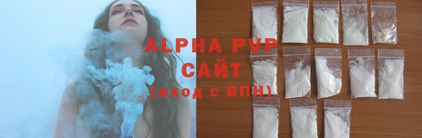 индика Богородск