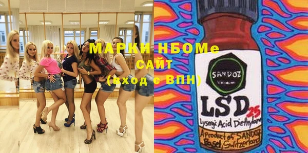 индика Богородск