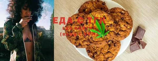 ECSTASY Богданович