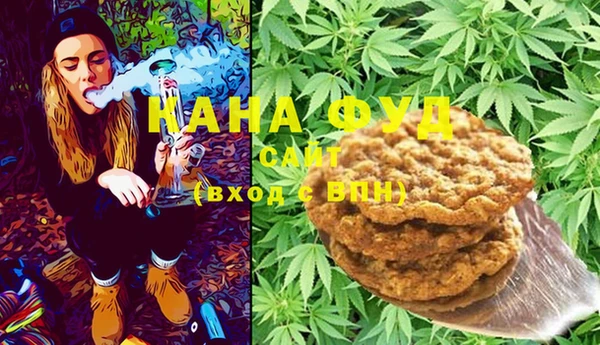 индика Богородск