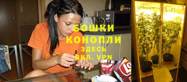 индика Богородск