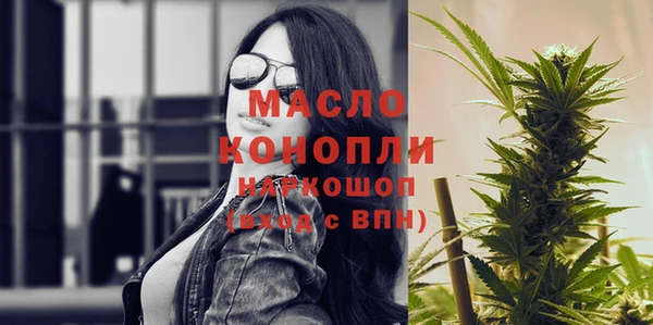 индика Богородск