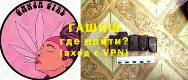 индика Богородск